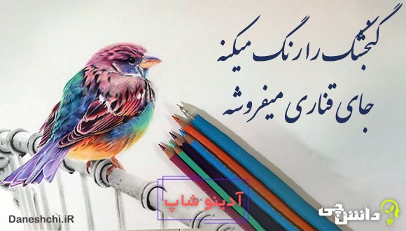 گنجشک را رنگ میکنه جای قناری میفروشه