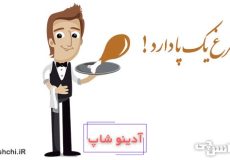 معنی مرغ یک پا دارد