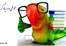 ضرب المثل طوطی وار یاد گرفتن