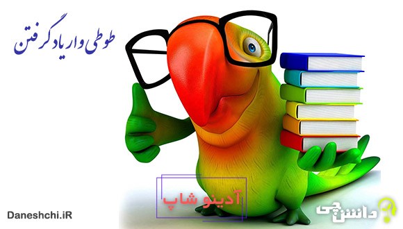 ضرب المثل طوطی وار یاد گرفتن