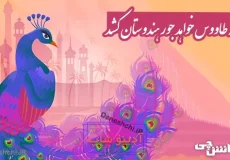 معنی ضرب المثل هر که طاووس خواهد جور هندوستان کشد