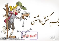 ضرب المثل ریگ به کفش داشتن