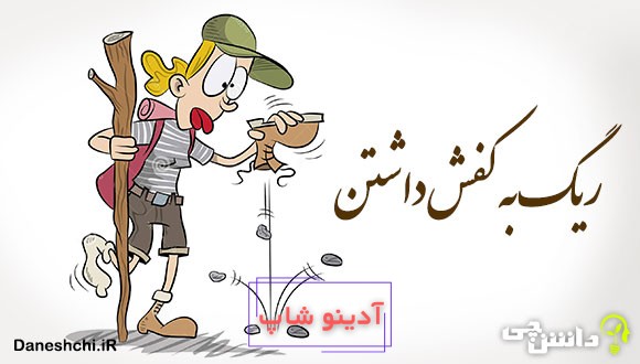 ضرب المثل ریگ به کفش داشتن