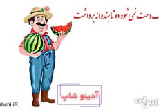 با یک دست نمی شود دو تا هندوانه برداشت