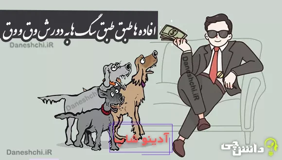 ضرب المثل افاده ها طبق طبق سگ ها به دورش وق و وق