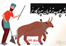 تا نباشد چوب تر فرمان نبرد گاو خر