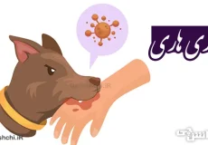تحقیق در مورد بیماری هاری و علائم آن