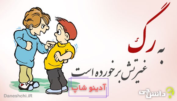 به رگ غیرتش برخورده است