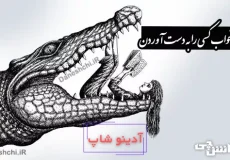 ضرب المثل رگ خواب کسی را به دست آوردن