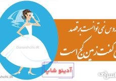 عروس نمی توانست برقصد، می گفت زمین کج است