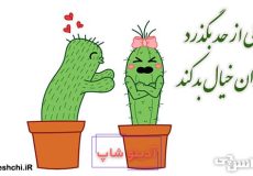 خوبی که از حد بگذرد نادان خیال بد کند