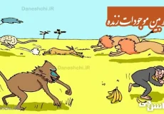 تحقیق درباره روابط بین موجودات زنده