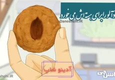ضرب المثل زردآلو را برای هسته اش می خورد
