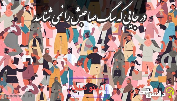 در جایی که سگ صاحبش را نمی شناسد 