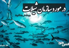 تحقیق در مورد سازمان شیلات جمهوری اسلامی ایران