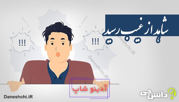 شاهد از غیب رسید 