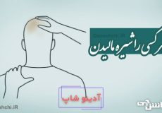 سر کسی را شیره مالیدن