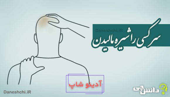 سر کسی را شیره مالیدن