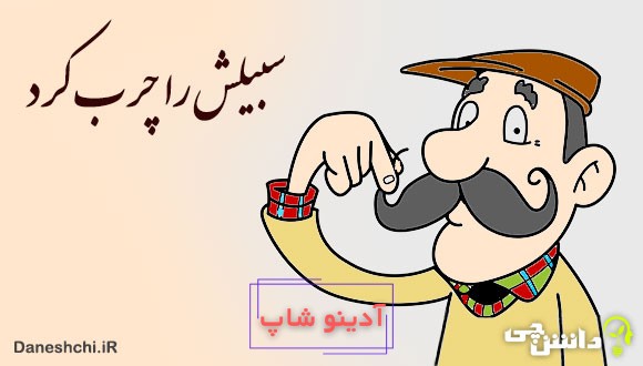 سبیلش را چرب کرد 