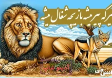 شیر که پیر میشه بازیچه شغال میشه
