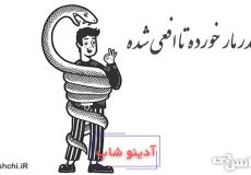 آنقدر مار خورده تا افعی شده
