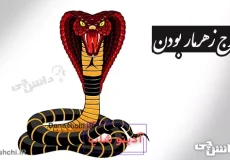 برج زهر مار بودن