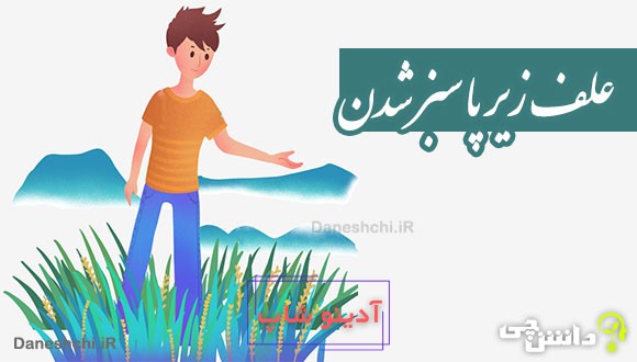 علف زیر پا سبز شدن 