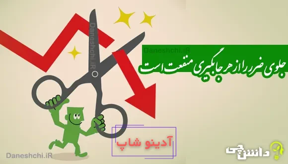 جلوی ضرر را از هر جا بگیری منفعت است