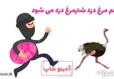 معنی تخم مرغ دزد شترمرغ دزد می شود