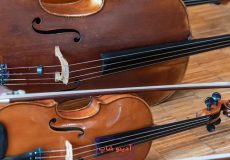 حقایق جالب درباره سازهای زهی