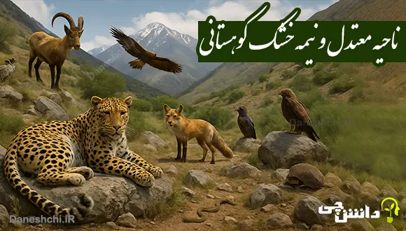 ناحیه معتدل و نیمه‌خشک کوهستانی