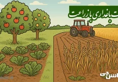تحقیق در مورد باغداری و تفاوت آن با زراعت