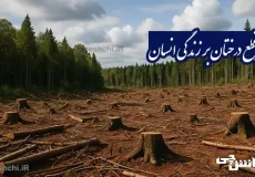 تحقیق در مورد قطع درختان و تاثیر آن در زندگی انسان