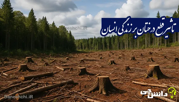 تحقیق در مورد قطع درختان و تاثیر آن در زندگی انسان