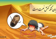 معنی در بیابان لنگه کفش نعمت است