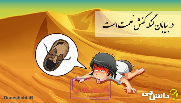 معنی در بیابان لنگه کفش نعمت است