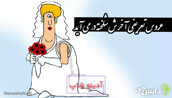 عروس تعریفی آخرش شلخته در می آید