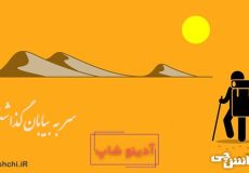 معنی سر به بیابان گذاشتن