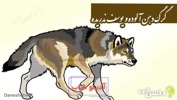 گرگ دهن آلوده و یوسف ندریده