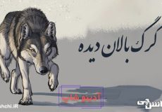 گرگ بالان دیده