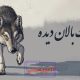 گرگ بالان دیده