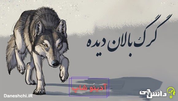 گرگ بالان دیده