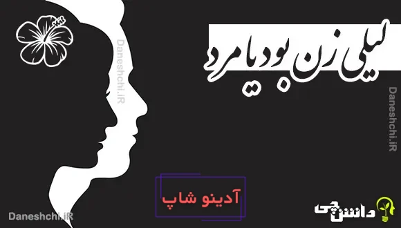 لیلی زن بود یا مرد