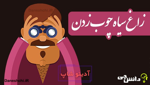 زاغ سیاه چوب زدن 