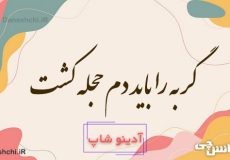 گربه را باید دم حجله کشت