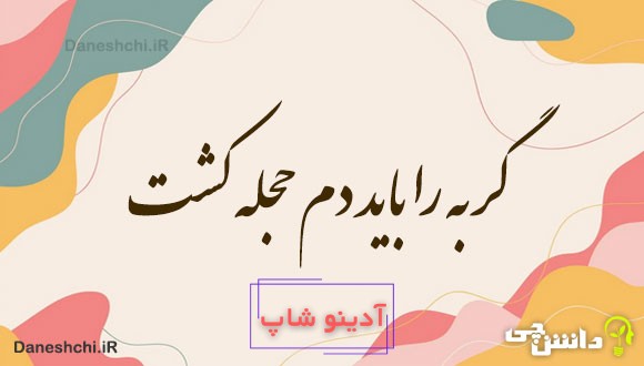 گربه را باید دم حجله کشت