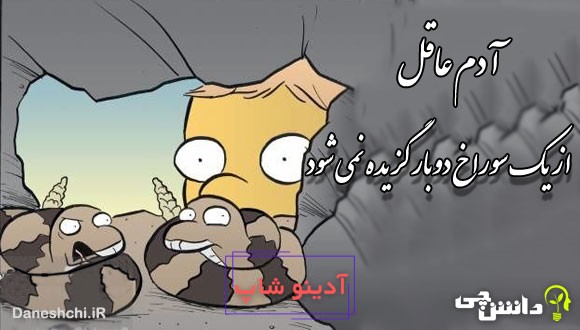 آدم عاقل از یک سوراخ دوبار گزیده نمی شود