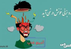 معنی کارد بزنی خونش در نمی آید