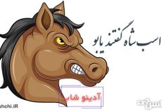 معنی به اسب شاه گفتند یابو