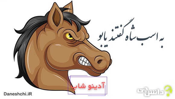 معنی به اسب شاه گفتند یابو